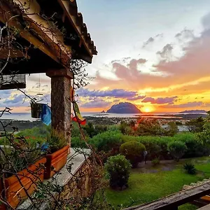 Acchiappasogni Porto San Paolo (Sardinia)