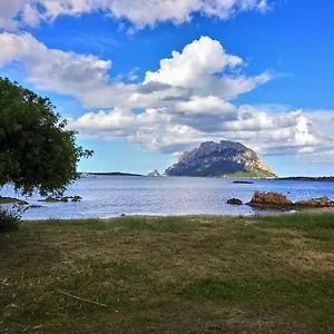 Raffaello Porto San Paolo (Sardinia)